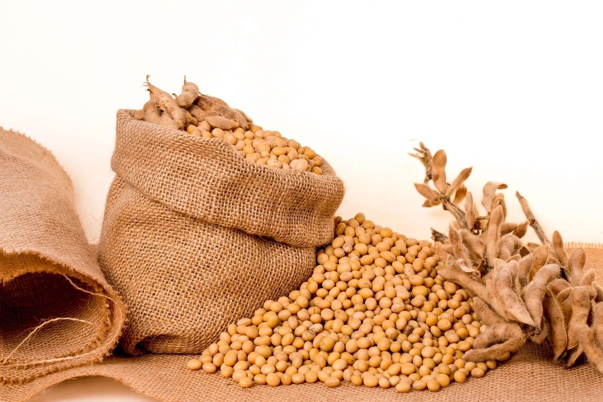 Production & Processing for Unmatched Quality