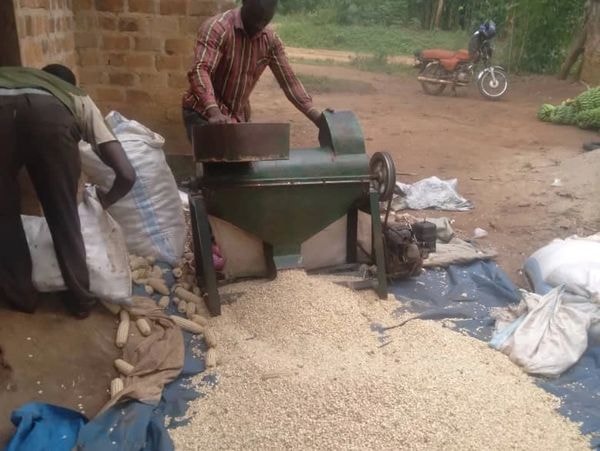Produce quality processing